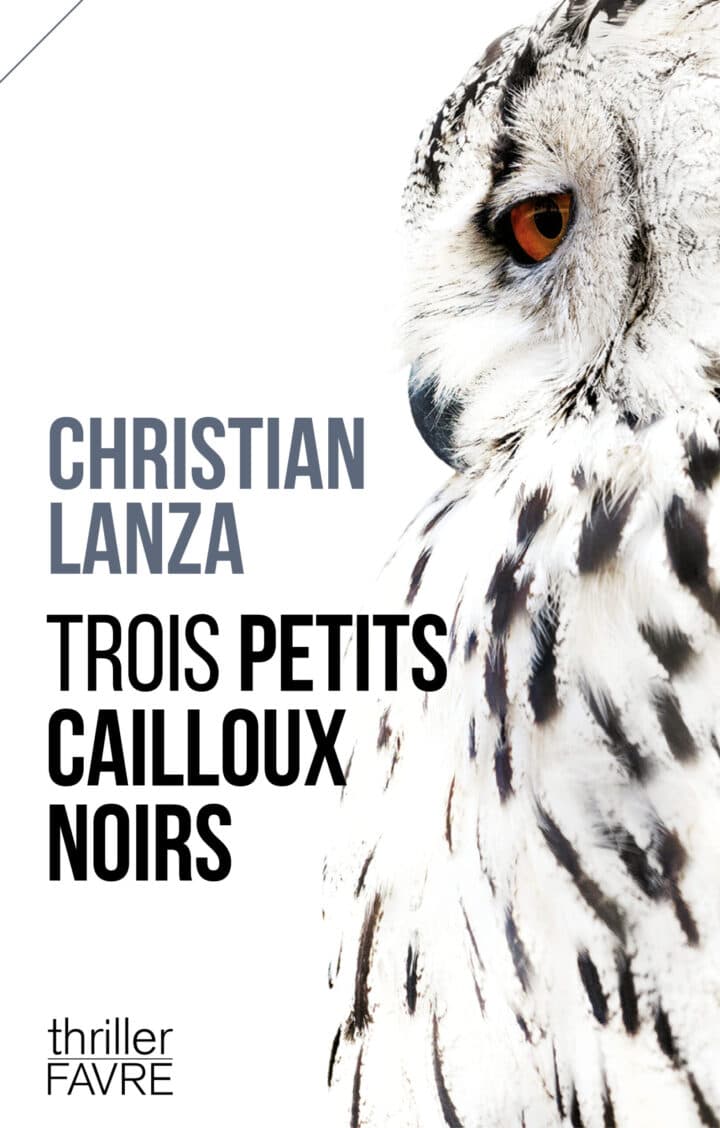 Couverture de Trois petits cailloux noirs